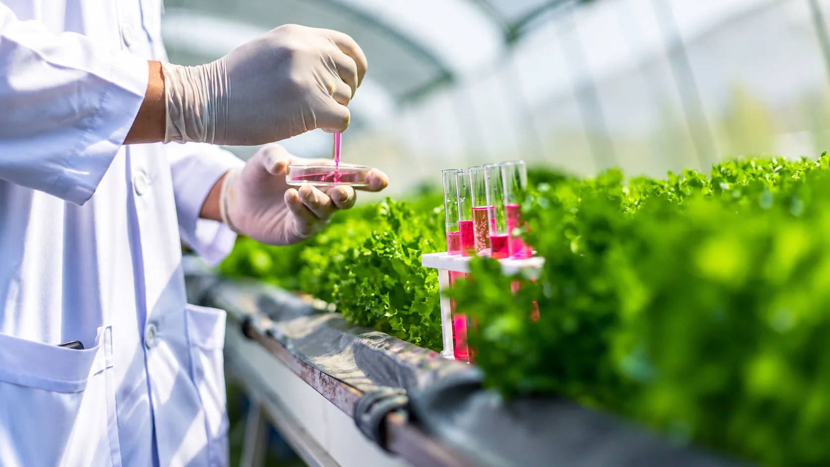 Agrochemical products and crop research